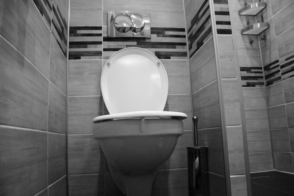 Apartament Central Cismigiu Bükreş Dış mekan fotoğraf