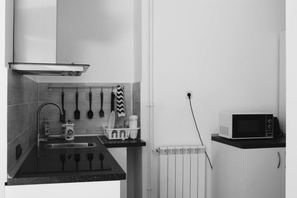 Apartament Central Cismigiu Bükreş Dış mekan fotoğraf